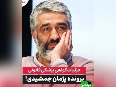 ویدئو/ دفاع اختصاصی وکیل پژمان جمشیدی: هفته آینده به ایران برمیگرده/ قاضی درباره جزئیات پروندش ....