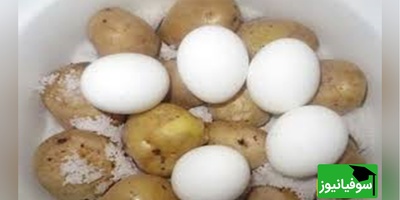 آیا تخم مرغ و سیب زمینی باهم سمی می‌شوند؟