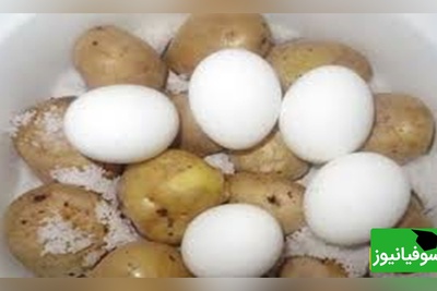 آیا تخم مرغ و سیب زمینی باهم سمی می‌شوند؟