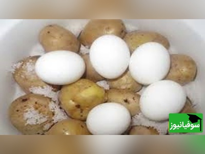 آیا تخم مرغ و سیب زمینی باهم سمی می‌شوند؟