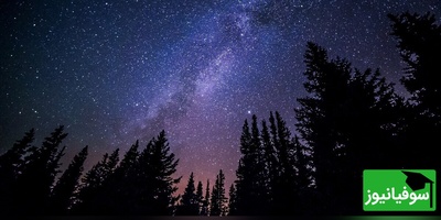 تصویر روز ناسا / از خوشه ستاره‌ای درخت کریسمس تا سحابی خز روباه/ نمایی زیبا از آسمان شب