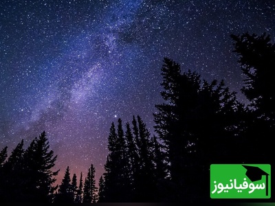 تصویر روز ناسا / از خوشه ستاره‌ای درخت کریسمس تا سحابی خز روباه/ نمایی زیبا از آسمان شب