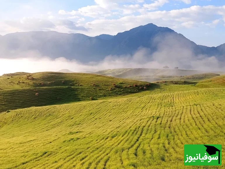 عکس از: سایت Google Maps