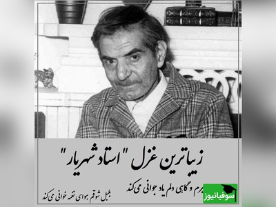 سوزناک‌ترین غزل‌ شهریار با صدای گریان ایشان، تنها شعری که استاد موقع خواندن آن اشک ریخت / پیرم و گاهی دلم یاد جوانی می‌کند