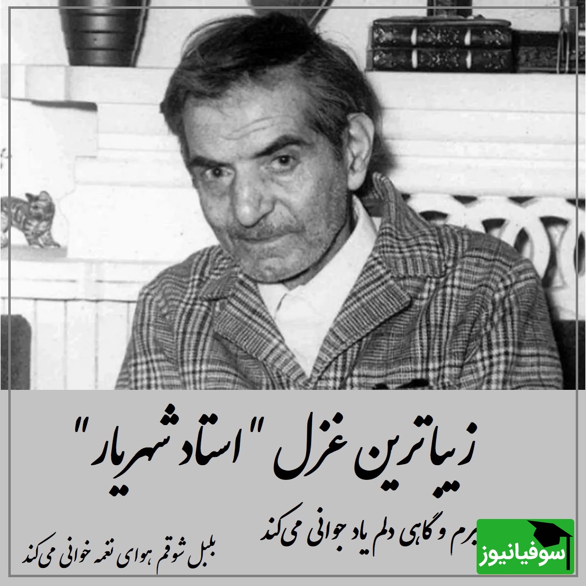 سوزناک‌ترین غزل‌ شهریار با صدای گریان ایشان، تنها شعری که استاد موقع خواندن آن اشک ریخت / پیرم و گاهی دلم یاد جوانی می‌کند