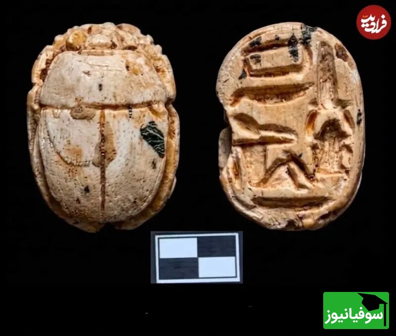 سوسک سنگی