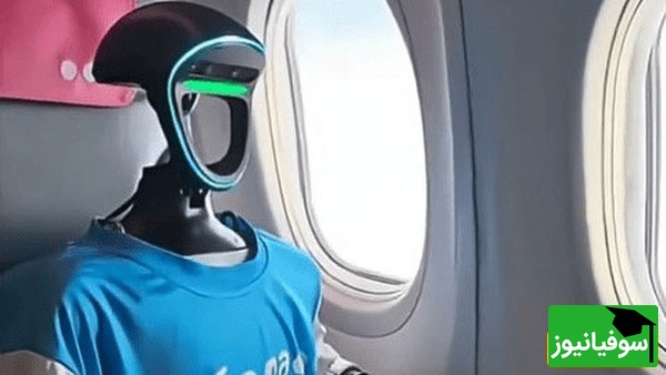 (ویدئو) مسافرانی که با یک مهماندار غیرمنتظره روبه‌رو شدند؛ داستان پرواز بحث‌برانگیز پوبدا