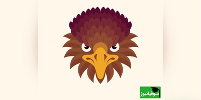 اگه بتونی همه تفاوت‌ها رو پیدا کنی، نابغه‌ای