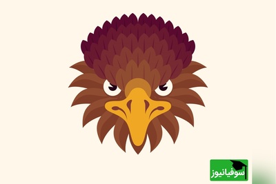 اگه بتونی همه تفاوت‌ها رو پیدا کنی، نابغه‌ای