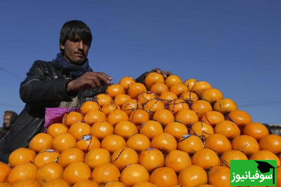 معمای ریاضی، پرتقال فروش ریاضیدان!