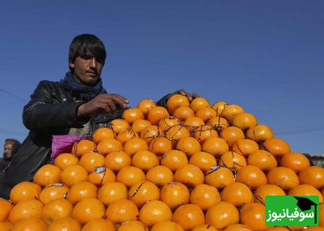 معمای ریاضی، پرتقال فروش ریاضیدان!