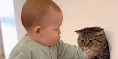 بامزه‌ترین دعوای تاریخ؛ نوزاد کوچولو داره گربه رو تهدید می‌کنه! 🤣