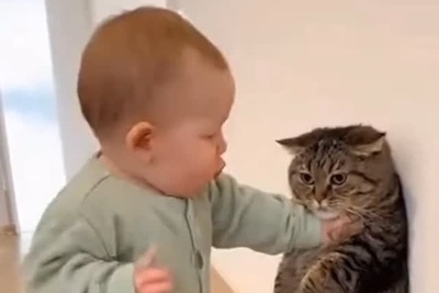 بامزه‌ترین دعوای تاریخ؛ نوزاد کوچولو داره گربه رو تهدید می‌کنه! 🤣