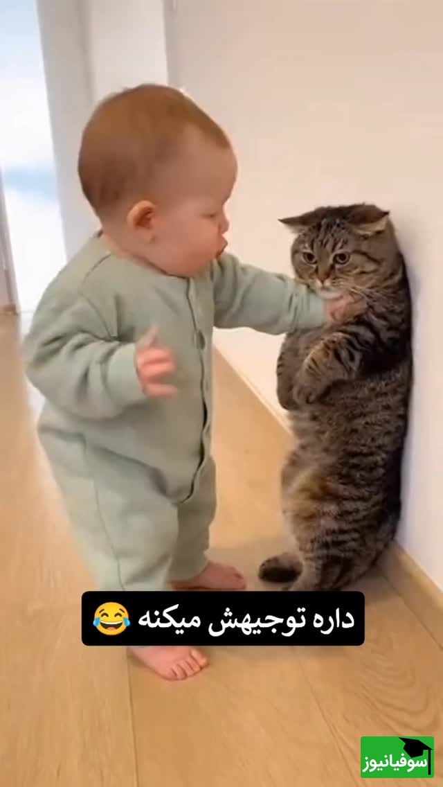 بامزه‌ترین دعوای تاریخ؛ نوزاد کوچولو داره گربه رو تهدید می‌کنه! 🤣