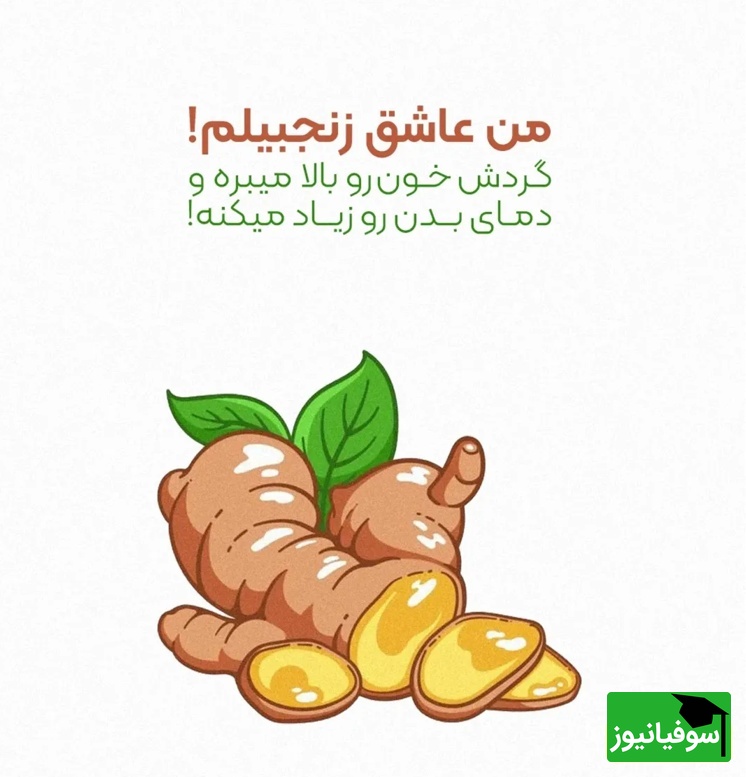 متابولیسم