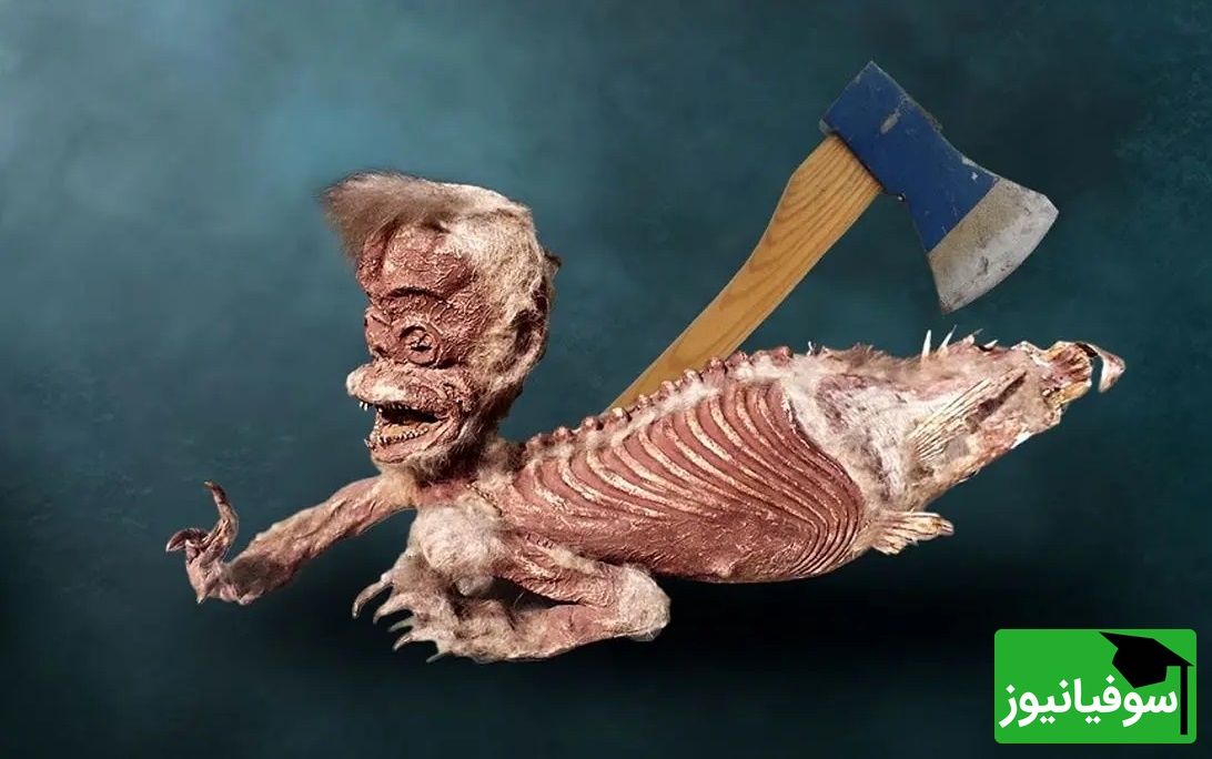 ل