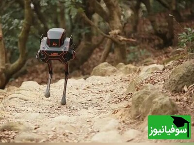 (ویدئو) ربات دوپای LimX Dynamics در نبردی نفس‌گیر با طبیعت؛ پیروزی شگفت‌انگیز P1 در تسخیر زمین‌های ناهموار و موانع جنگلی!