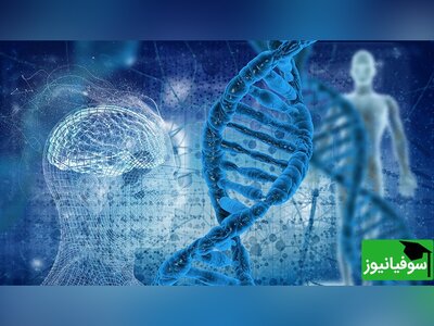 (ویدئو) قطره‌ای به اندازۀ نوک انگشت که قادر است 700 ترابایت داده را در خود ذخیره کند!