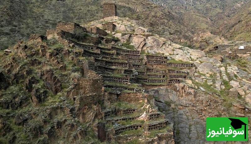 معماری