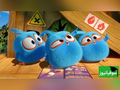 (ویدئو) داستان کوتاه انگلیسی «پرندۀ خواننده» با زیرنویس/ یادگیری مکالمات مهم و پرکاربرد روزانه