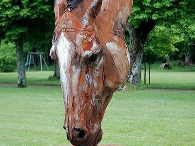 (ویدئو) معجزه هنر در شیراز؛ شاهکار دانشجویان خلاق که درخت خشکیده را به اثری زنده و تماشایی تبدیل کرد!