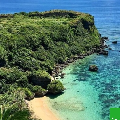 عکس/ کشف حیرت‌انگیز جانور دریایی جدیدی که «هنرهای رزمی» اجرا می‌کند!