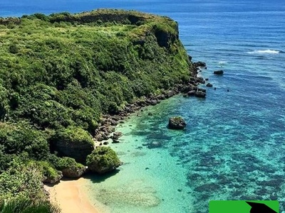 عکس/ کشف حیرت‌انگیز جانور دریایی جدیدی که «هنرهای رزمی» اجرا می‌کند!