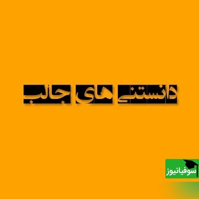 (تصویر) دانستنی‌های عجیب اما واقعی /
قلب جوجه تیغی در خواب زمستانی چقدر آهسته می‌زند؟