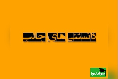(تصویر) دانستنی‌های عجیب اما واقعی /
قلب جوجه تیغی در خواب زمستانی چقدر آهسته می‌زند؟
