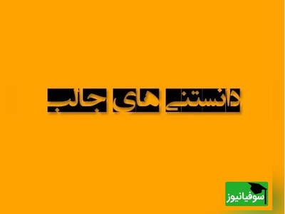 (تصویر) دانستنی‌های عجیب اما واقعی /
قلب جوجه تیغی در خواب زمستانی چقدر آهسته می‌زند؟