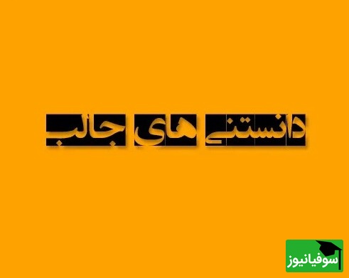 (تصویر) دانستنی‌های عجیب اما واقعی /
قلب جوجه تیغی در خواب زمستانی چقدر آهسته می‌زند؟