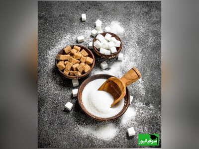 ویدیو/شکر و تحقیقاتی تحت عنوان رسوایی قرن!