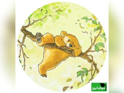 (ویدئو) داستان کوتاه انگلیسی «خرس کوچولو به دنبال عسل» با ترجمهٔ فارسی/ با صدای بلند گوش کنید