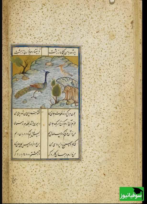 نسخه خطی منطق الطیر عطار