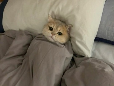 (ویدیو) آموزش انگلیسی مخصوص خوابالوها!/ ساده‌تر از چیزی که فکر می‌کنی