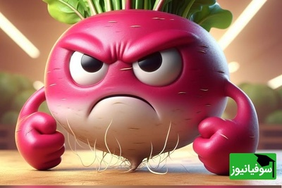 چالش بینایی: فقط باهوش‌ترین افراد می‌توانند تربچه متفاوت را زیر 5 ثانیه پیدا کنند!