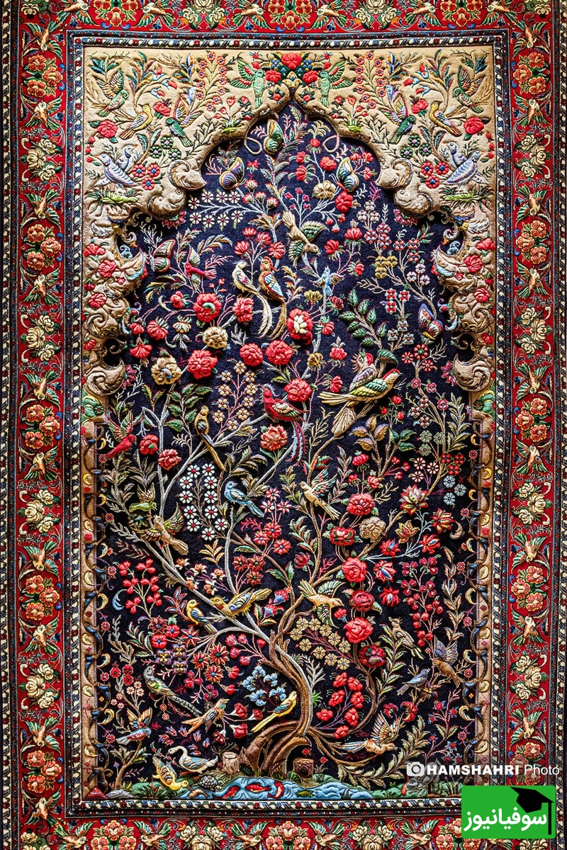 غوغای فرش ابریشم 8 میلیاردی؛ شاهکاری که فضای مجازی را منفجر کرد + ویدئو