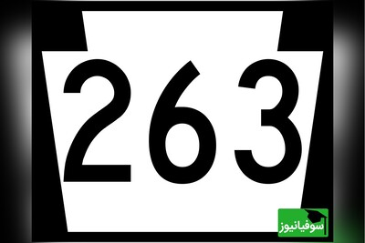 خطای دید/ حتی افرادی با ضریب هوشی بالا نمی‌توانند "263" پنهان شده در میان اعداد «253» را در 3 ثانیه پیدا کنند