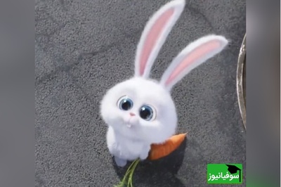 معما تصویری | فقط 5 درصد از افراد می‌توانند این معما را درست حل کنند!/ اگه توام جزو افراد باهوشی زیر 10 ثانیه خرگوش را پیدا کنید!