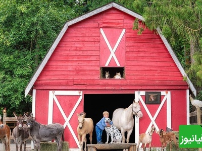 خطای دید/ حتی افرادی با ضریب هوشی بالا نمی‌توانند همسر کشاورز را در مزرعه را پیدا کنند