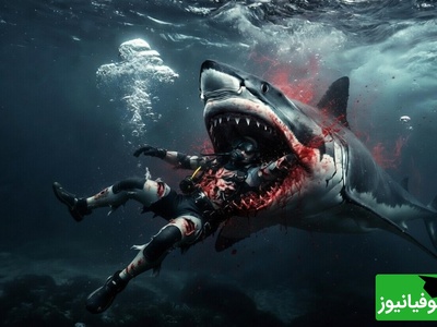 فرمانروایان اقیانوس/ حیات وحش/ حمله وحشتناک کوسه به انسان+ویدئو+18