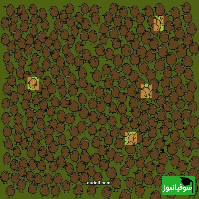 پاسخ