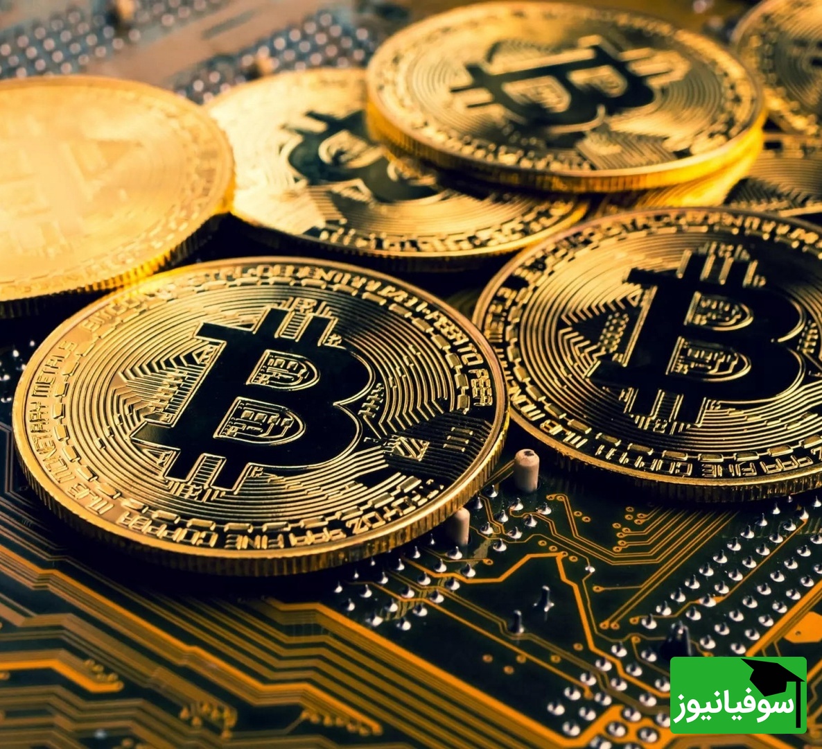 جدیدترین لیست قیمت ارز دیجیتال از بیت‌کوین تا آلت‌کوین‌ها امروز 4 آذر 1404/ بیت‌کوین دوباره می‌درخشد؛ بازار سبز شد