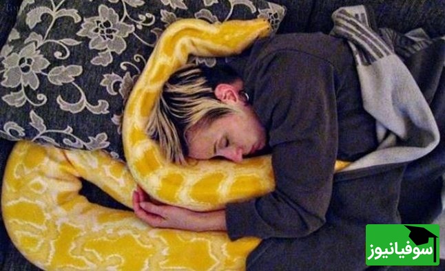 (ویدئو) ویژه طرفداران مستند حیات وحش حیوانات/ لحظات دلهره آور و حشتناک حمله مار پیتون به زنی در خواب