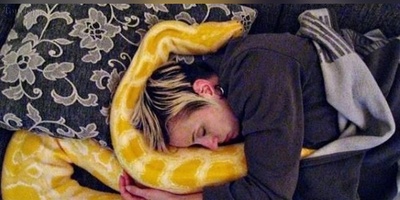 (ویدئو) ویژه طرفداران مستند حیات وحش حیوانات/ لحظات دلهره آور و حشتناک حمله مار پیتون به زنی در خواب