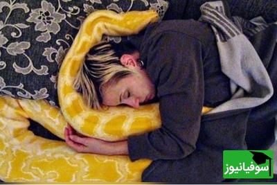 (ویدئو) ویژه طرفداران مستند حیات وحش حیوانات/ لحظات دلهره آور و حشتناک حمله مار پیتون به زنی در خواب