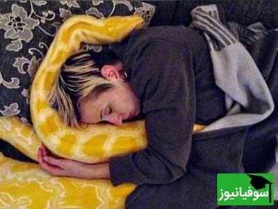 (ویدئو) ویژه طرفداران مستند حیات وحش حیوانات/ لحظات دلهره آور و حشتناک حمله مار پیتون به زنی در خواب