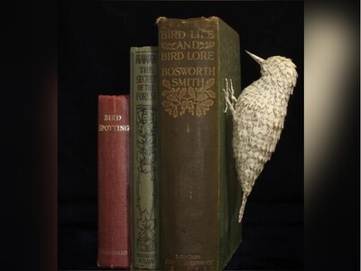 ویدئو/ تلفیق شگفت‌انگیز هنر و علم/ قابل توجه افرادی که عادت داشتن تو کتاب نقاشی بکشن