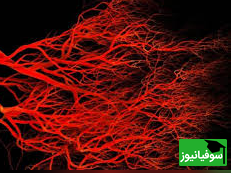 (ویدیو) شاهکار مهندسی بدن، شبکه ای پیچیده به طول 100 هزار کیلومتر!