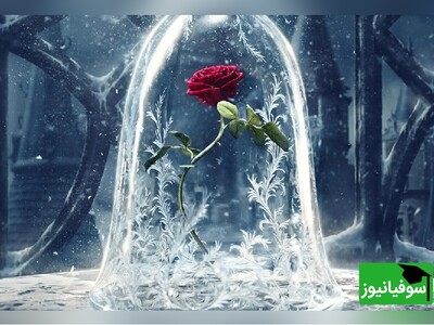 کتاب صوتی/ برشی از رمان اعجاب‌انگیز "رز گمشده" اثر سردار ازکان با صدای دلنشنین سارا فیض/ روایتی شنیدنی از سفر دختری به نام دیانا در جستجوی خواهر گمشده